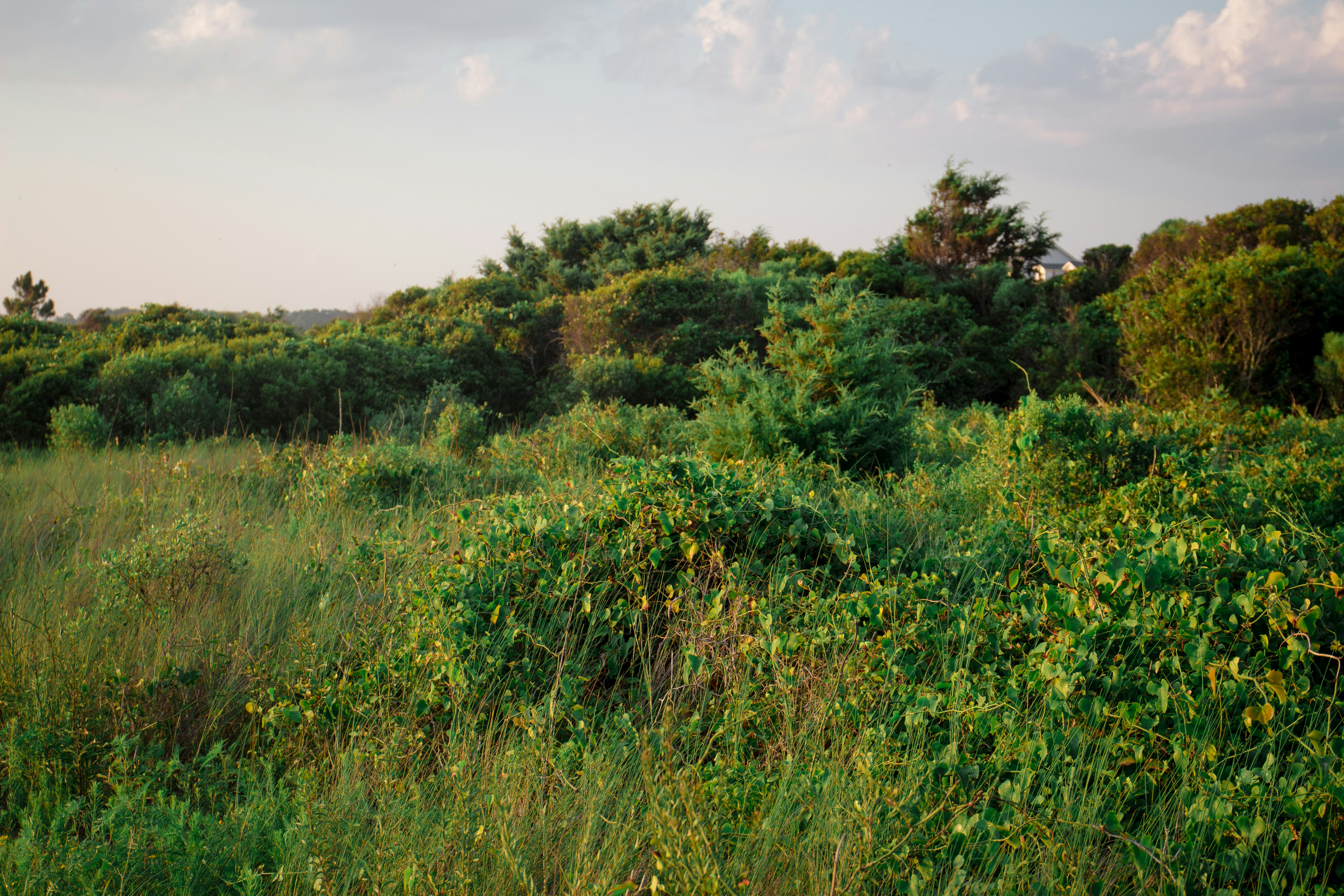 Photo by rachelmcromer