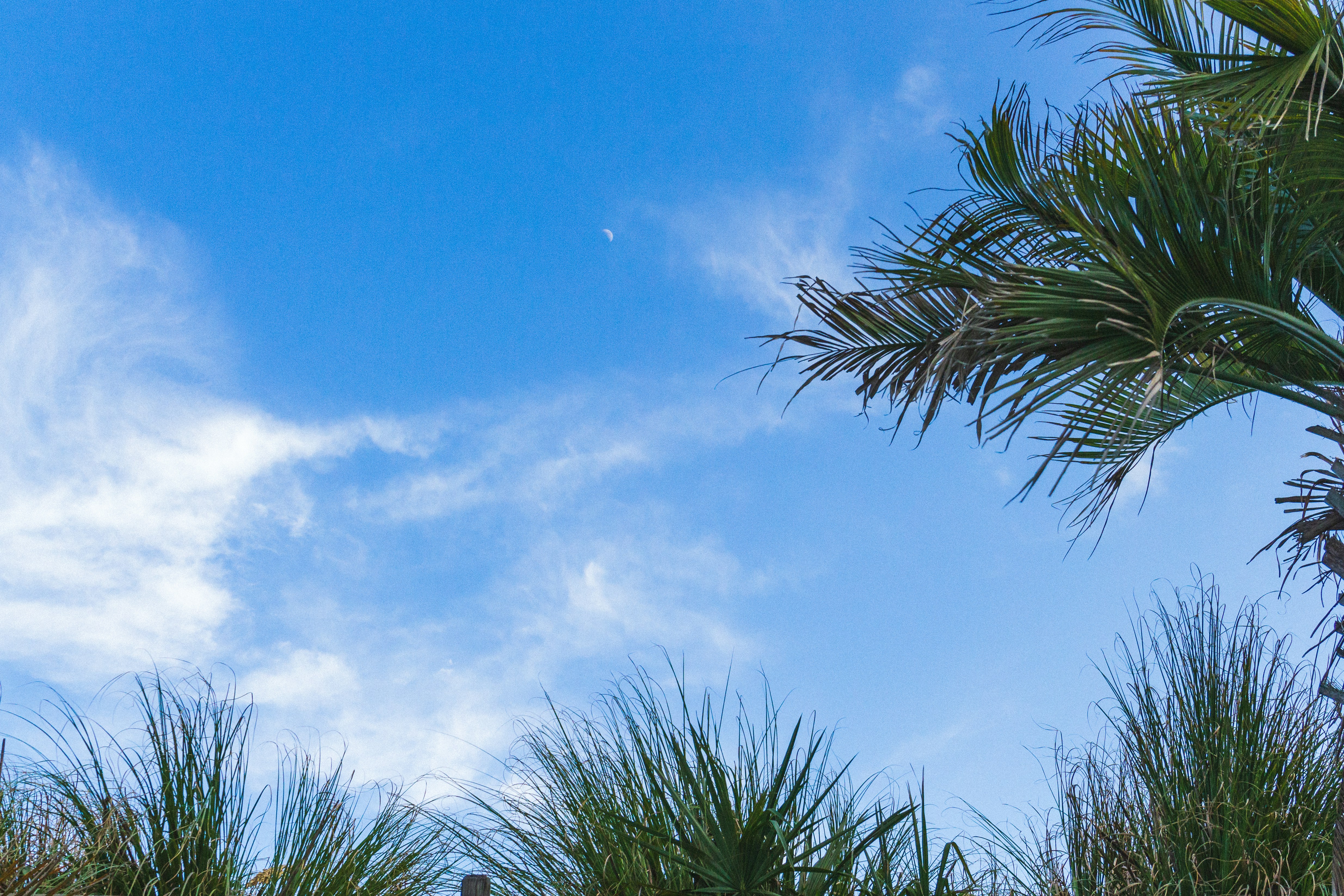 Photo by rachelmcromer