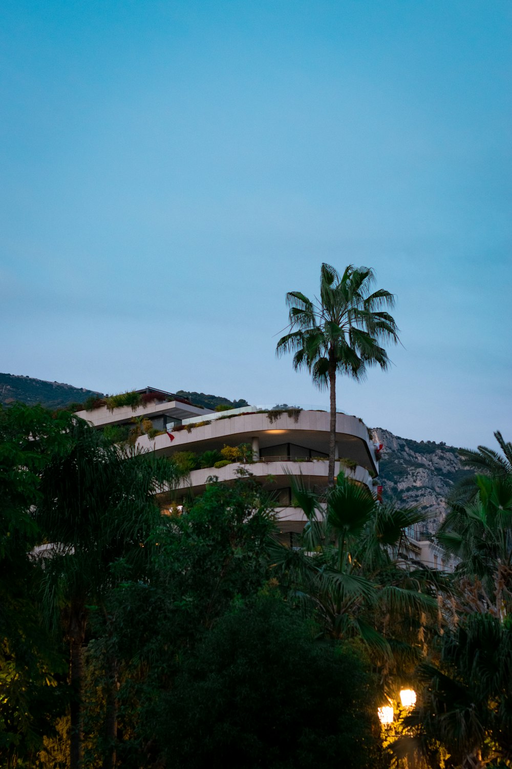 a building with a palm tree in front of it