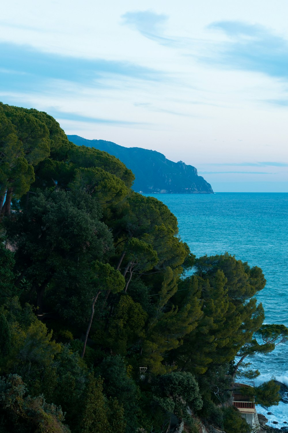 a view of a body of water from a hill