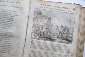 An opened old book with text written in Dutch on the left page and an illustration on the right page. The illustration depicts a biblical scene from the Gospel of Matthew with a group of people near a cliff, featuring a central figure gesturing towards others, possibly Jesus and followers. The text surrounding the illustration includes references to Matthew VIII: 28-34.