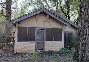 an old run down house in the woods