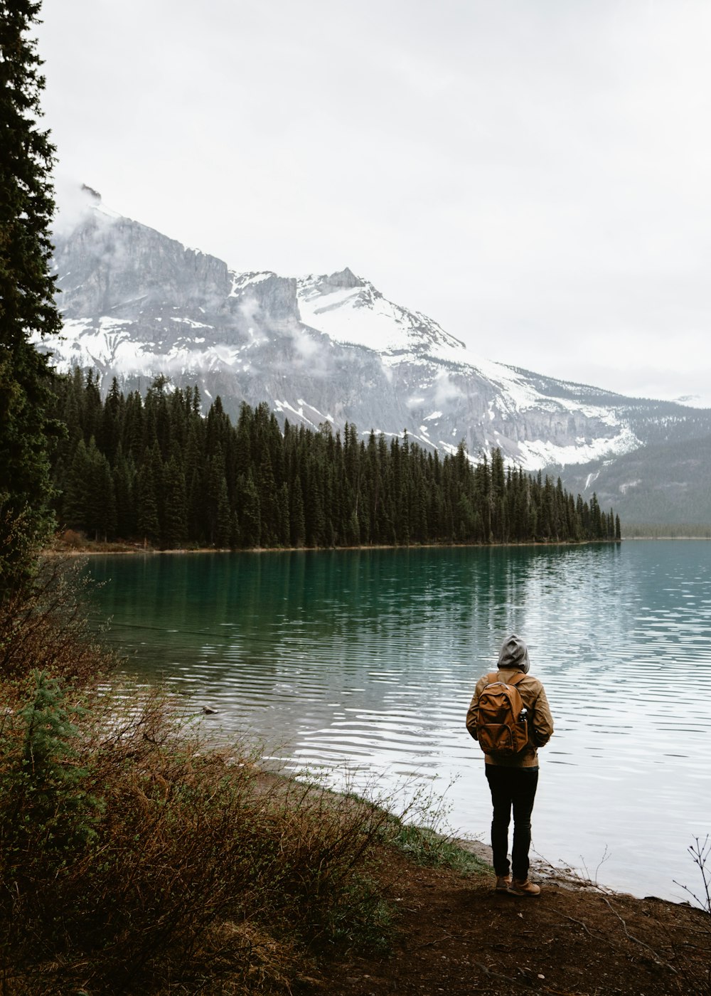 una persona in piedi su una riva di un lago