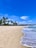A pristine beach extends along the shoreline with gentle waves lapping at the sand. Tall palm trees sway in the breeze under a bright blue sky with scattered clouds. The warm sun casts a natural glow over the tranquil scene, adding to the peaceful ambiance.