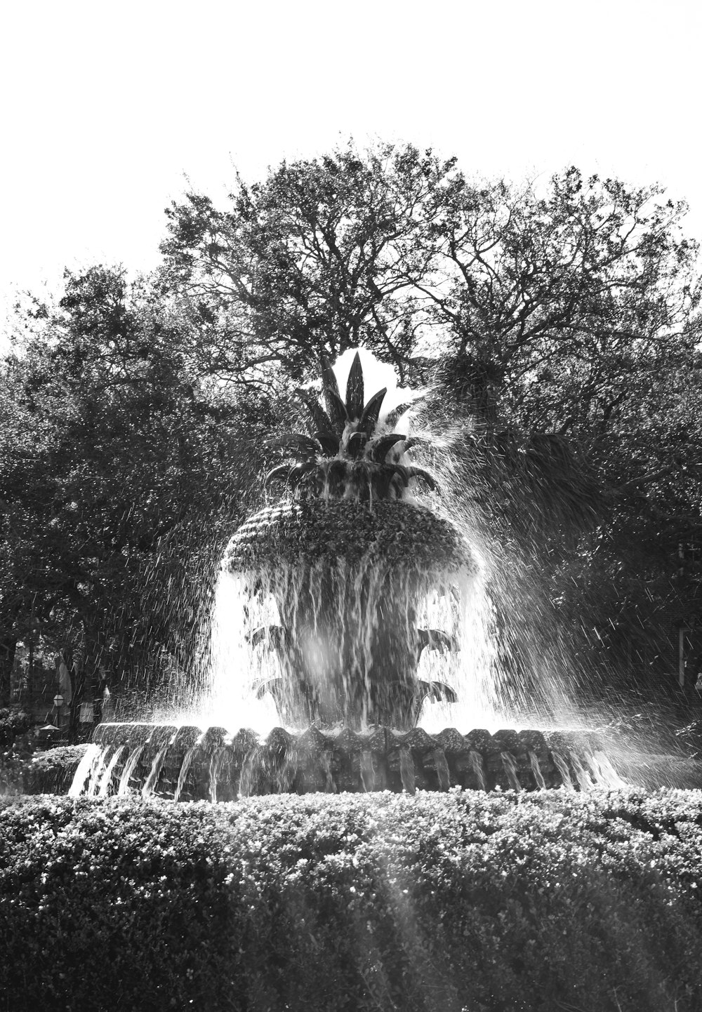 a black and white photo of a fountain