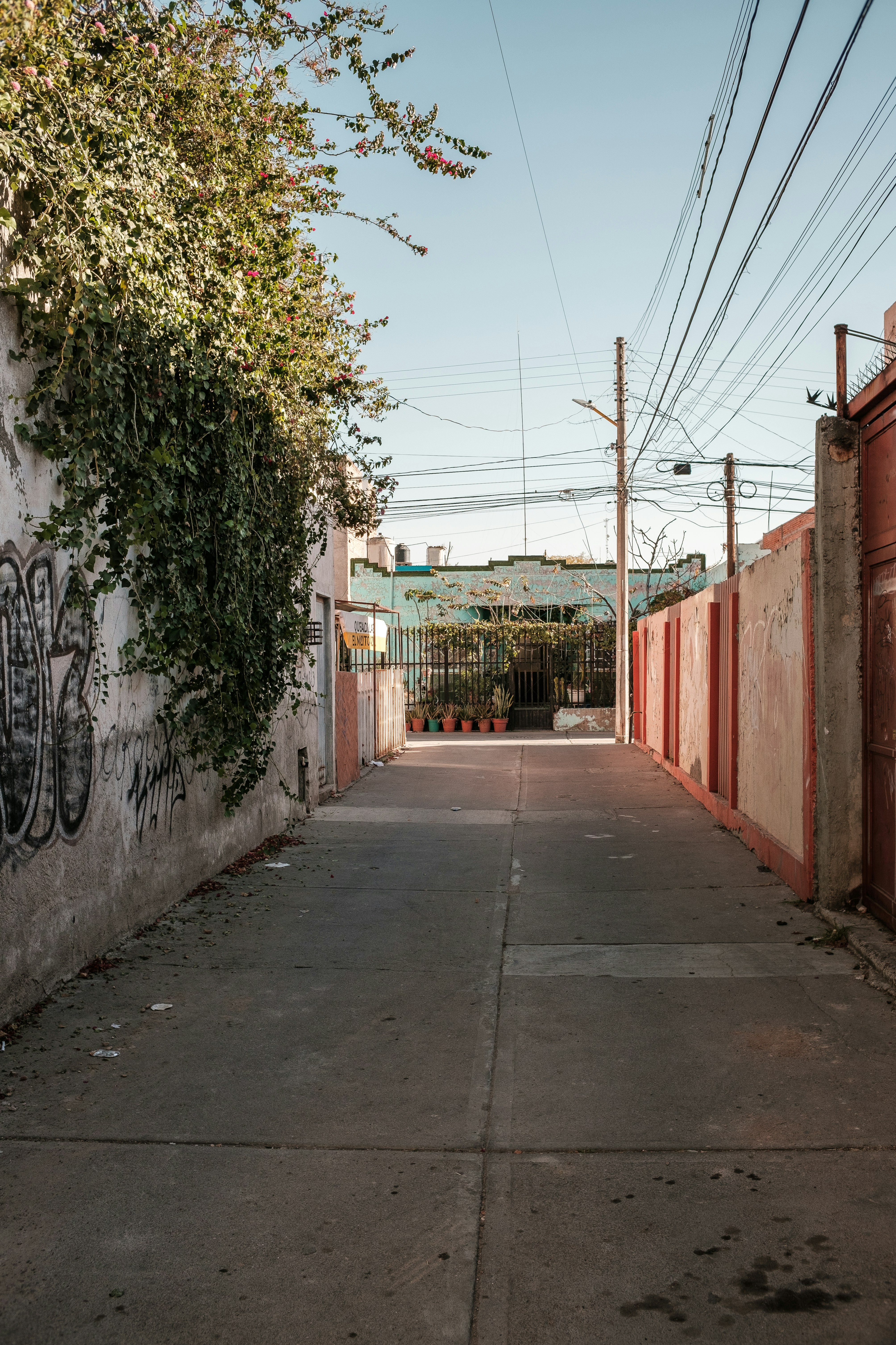 Photo by alex_quezada