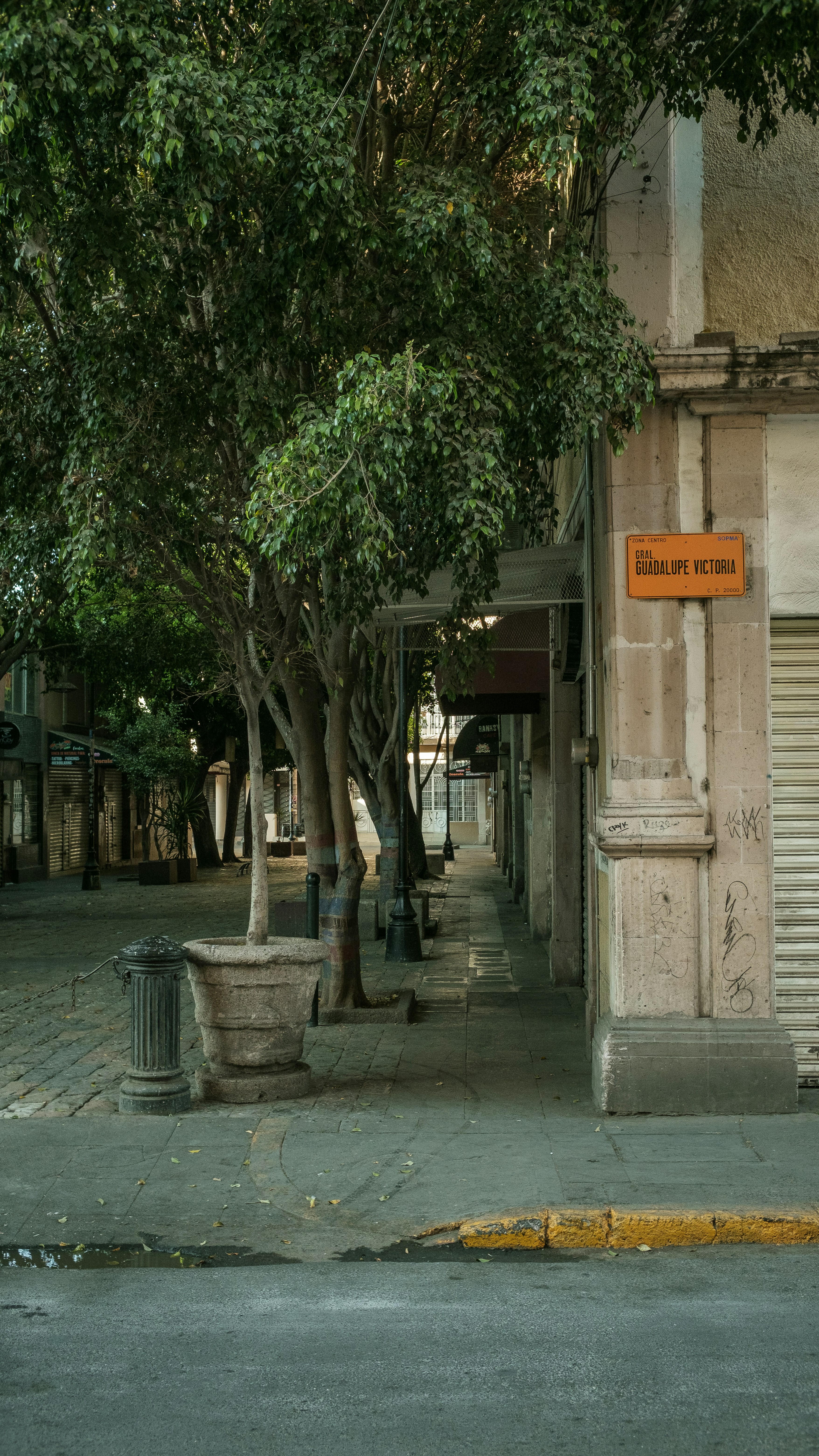 Photo by alex_quezada