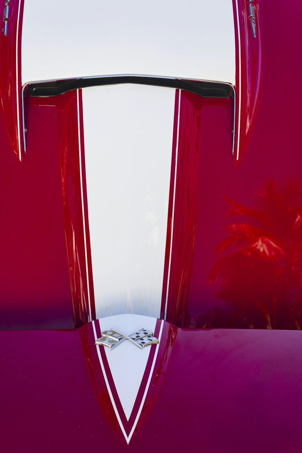 a close up of the hood of a classic car