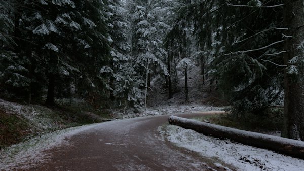 A road in the middle of a forest covered in snow — Black Forest, Germany