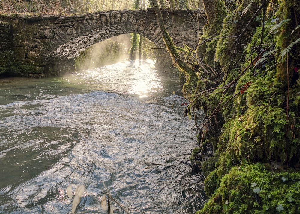 a stone bridge over a river in a forest