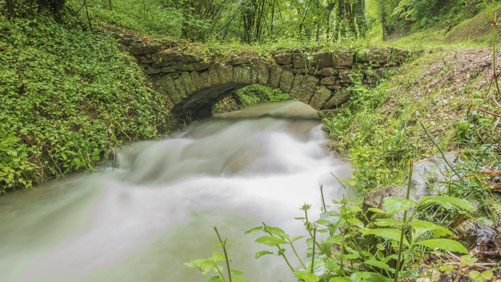 a small stone bridge over a stream in a forest
