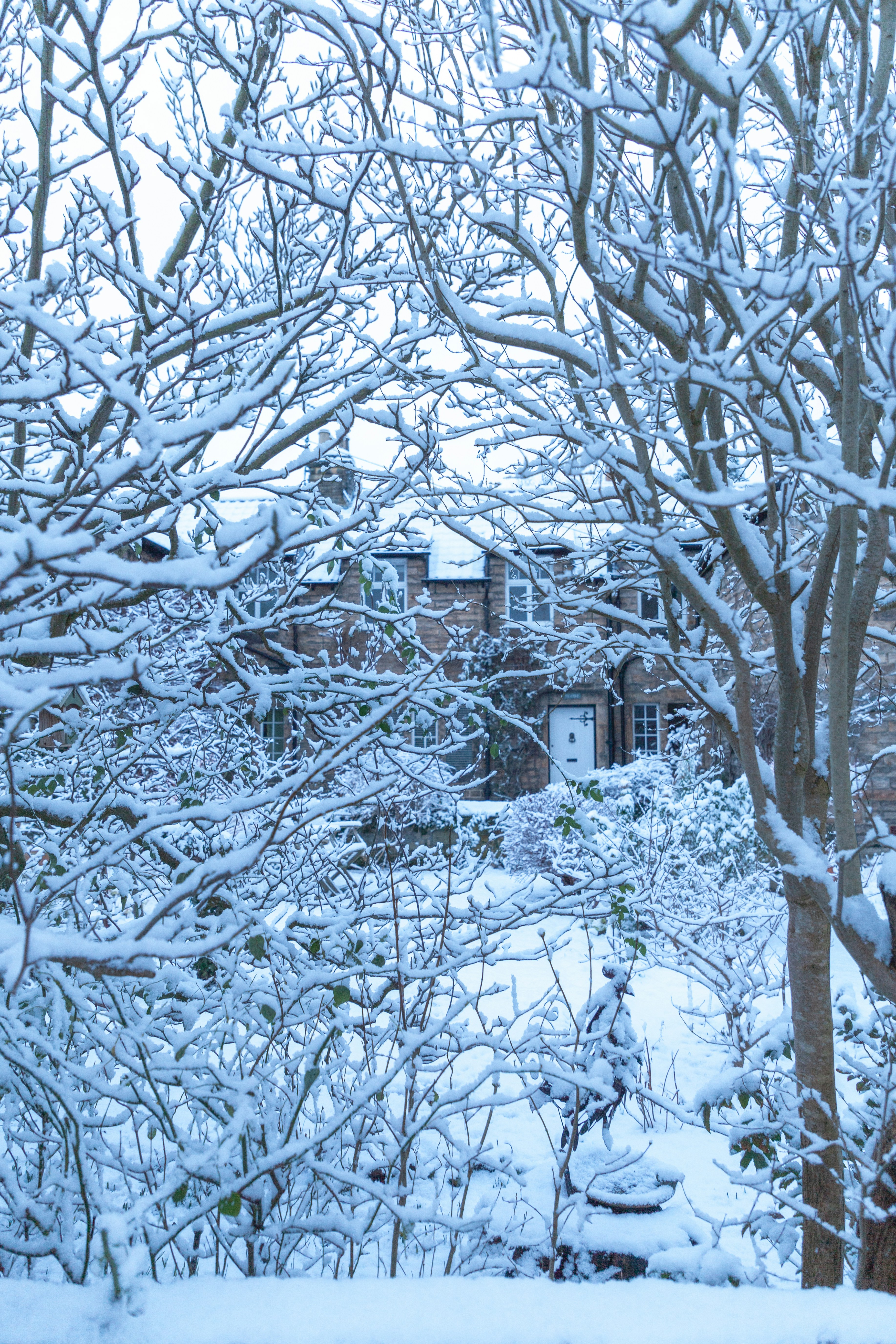 Photo by campfire_guy