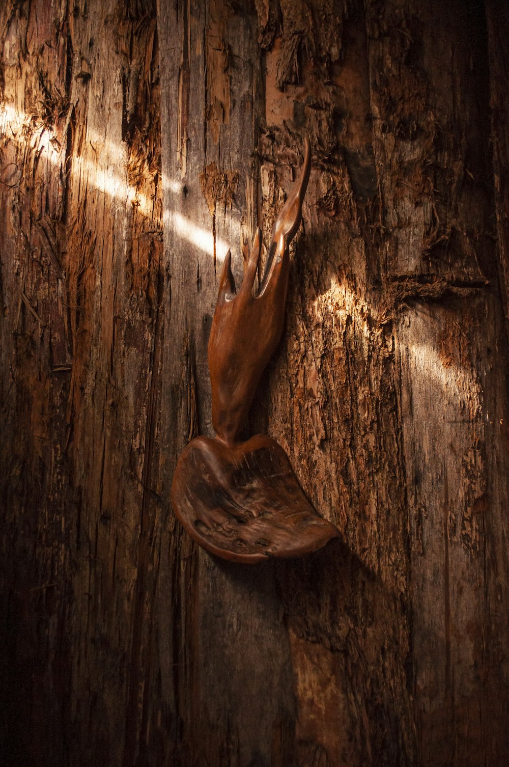 a glove hanging on the side of a tree