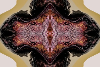 An abstract symmetrical pattern featuring intricate textures and colors. The design is predominantly dark with a central section that is lighter, resembling organic matter or possibly cosmic structures. The overall pattern creates a sense of depth and complexity.