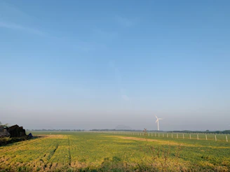 A vast field of solar panels under a bright blue sky with wind turbines spinning gently in the background.