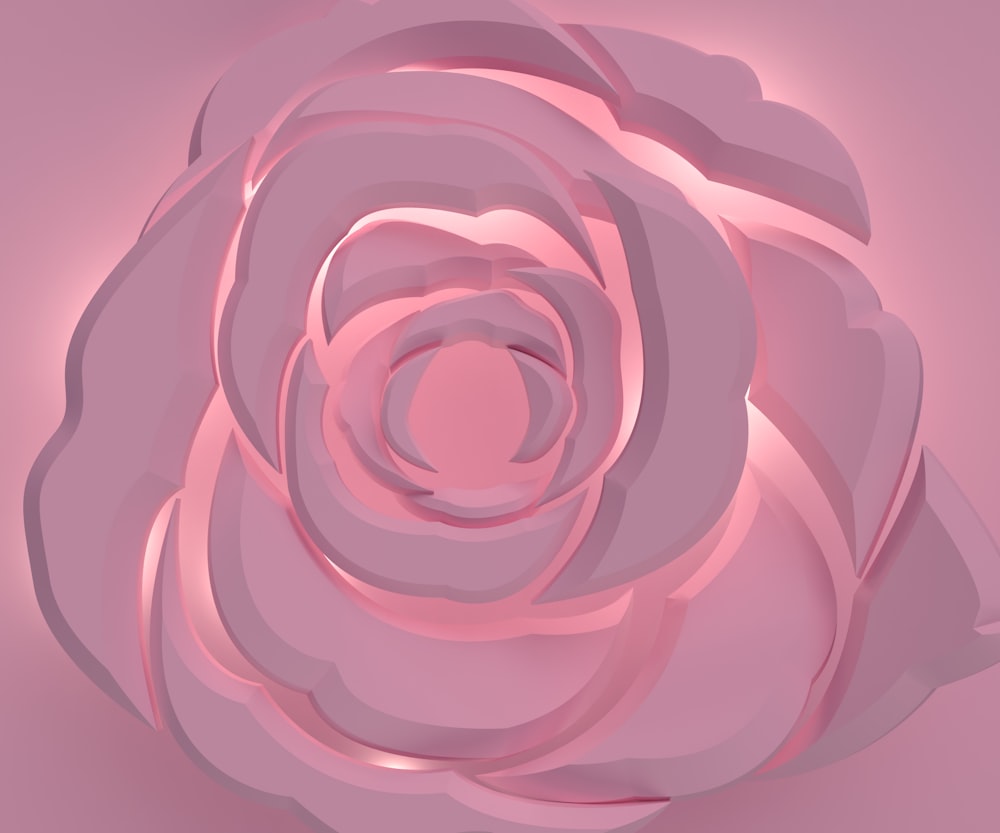 a close up of a pink rose on a pink background