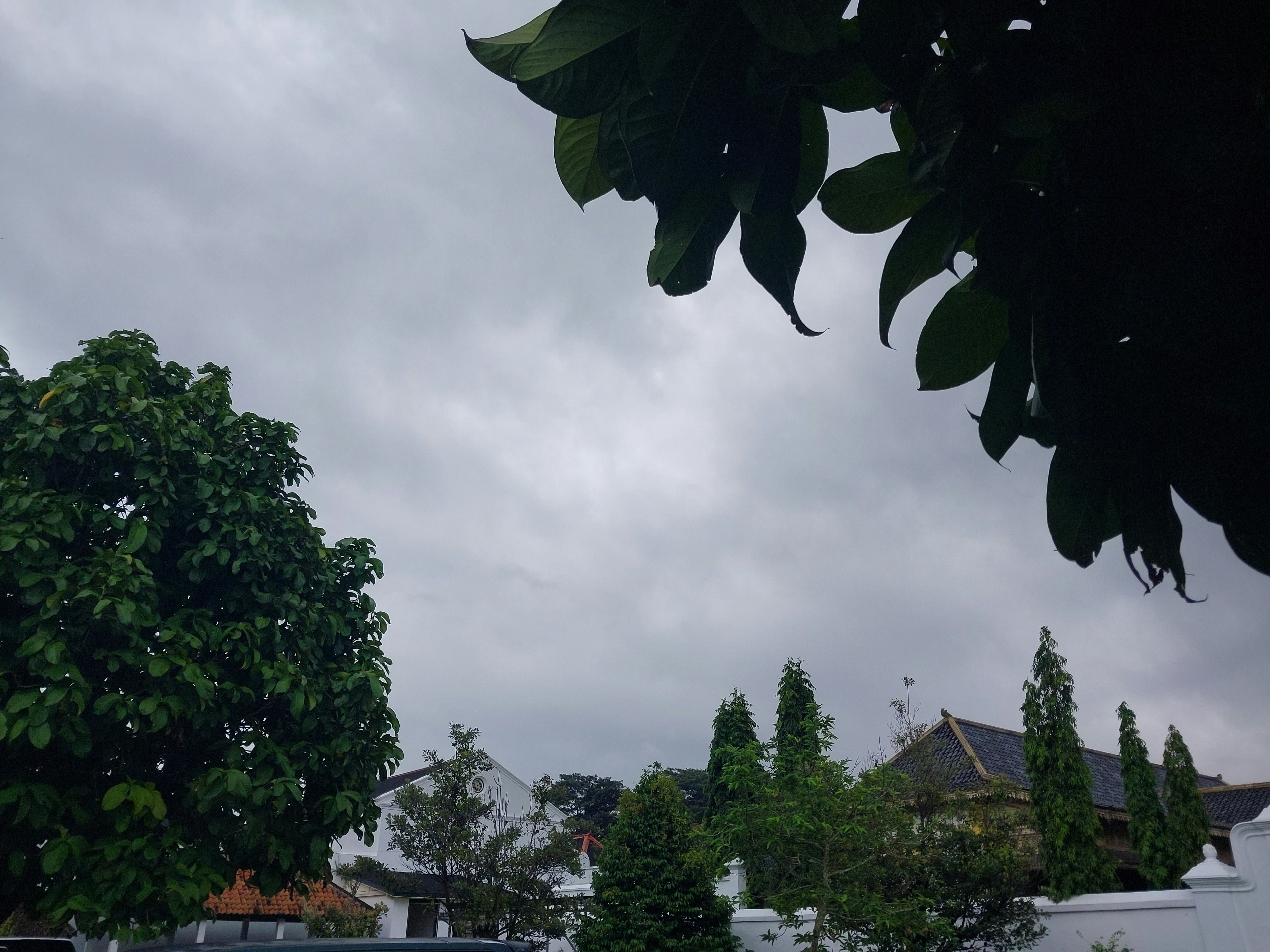 jalan dengan mobil yang diparkir di sampingnya