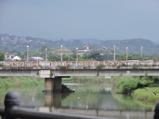 A wide shot of a modern concrete bridge spanning a river with green surroundings.