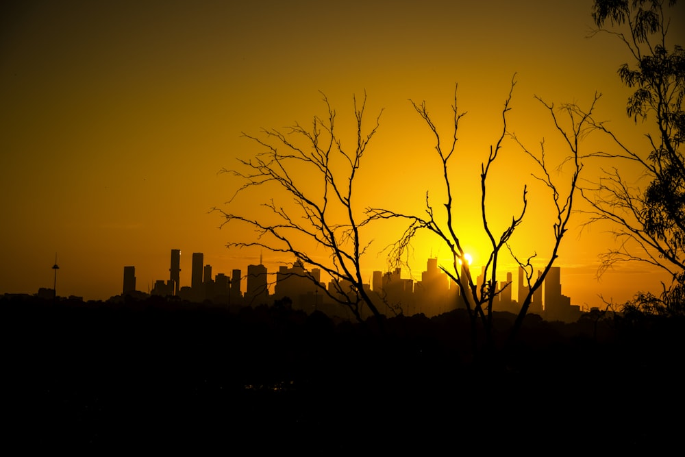 the sun is setting behind a city skyline