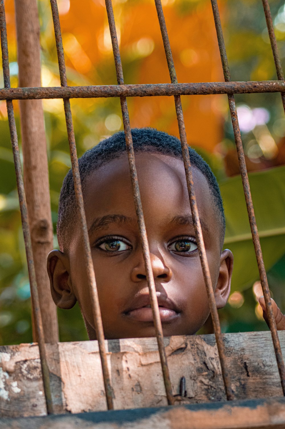 a young boy looks out from behind a fence