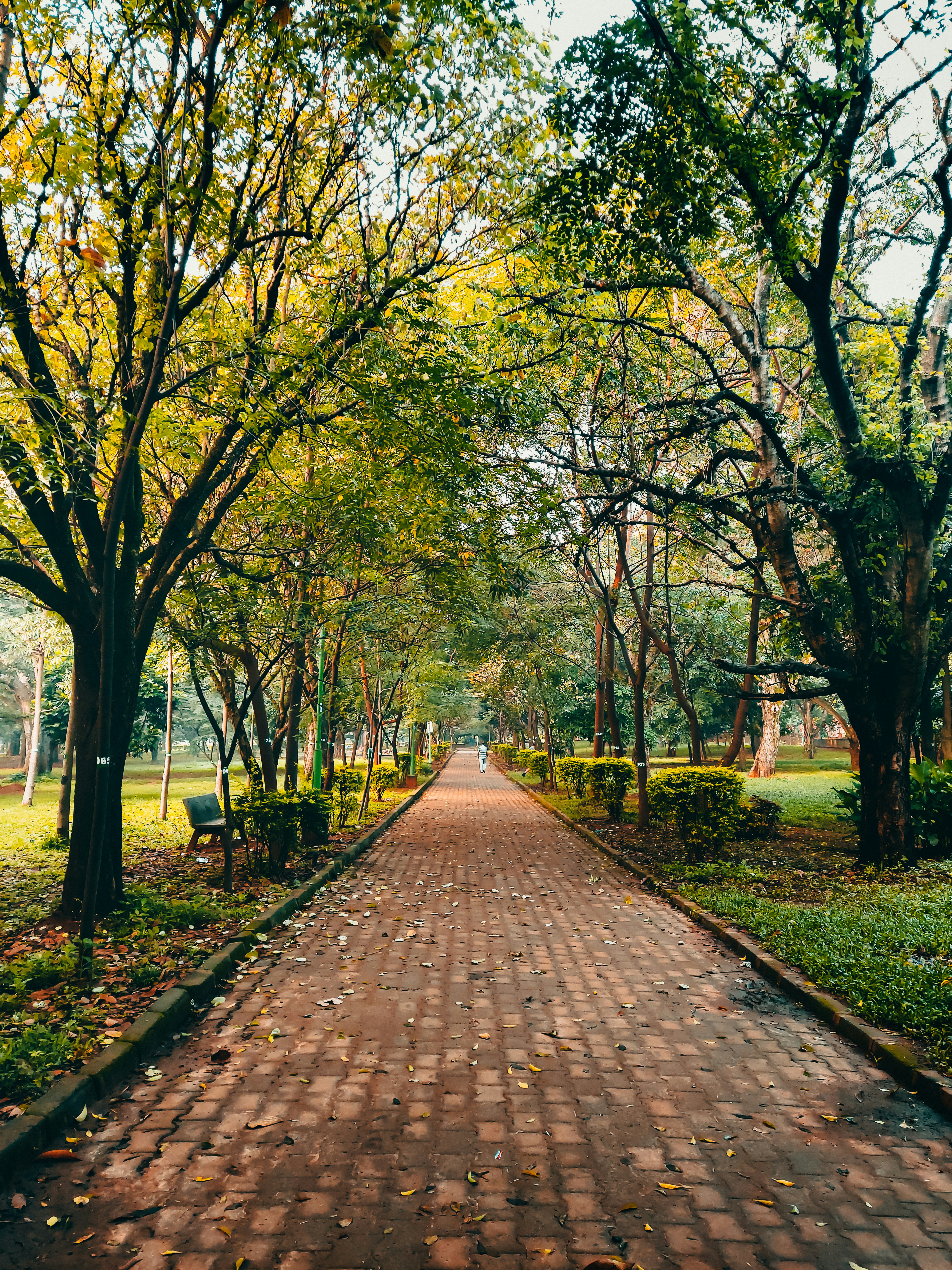 Photo by prithiviraj