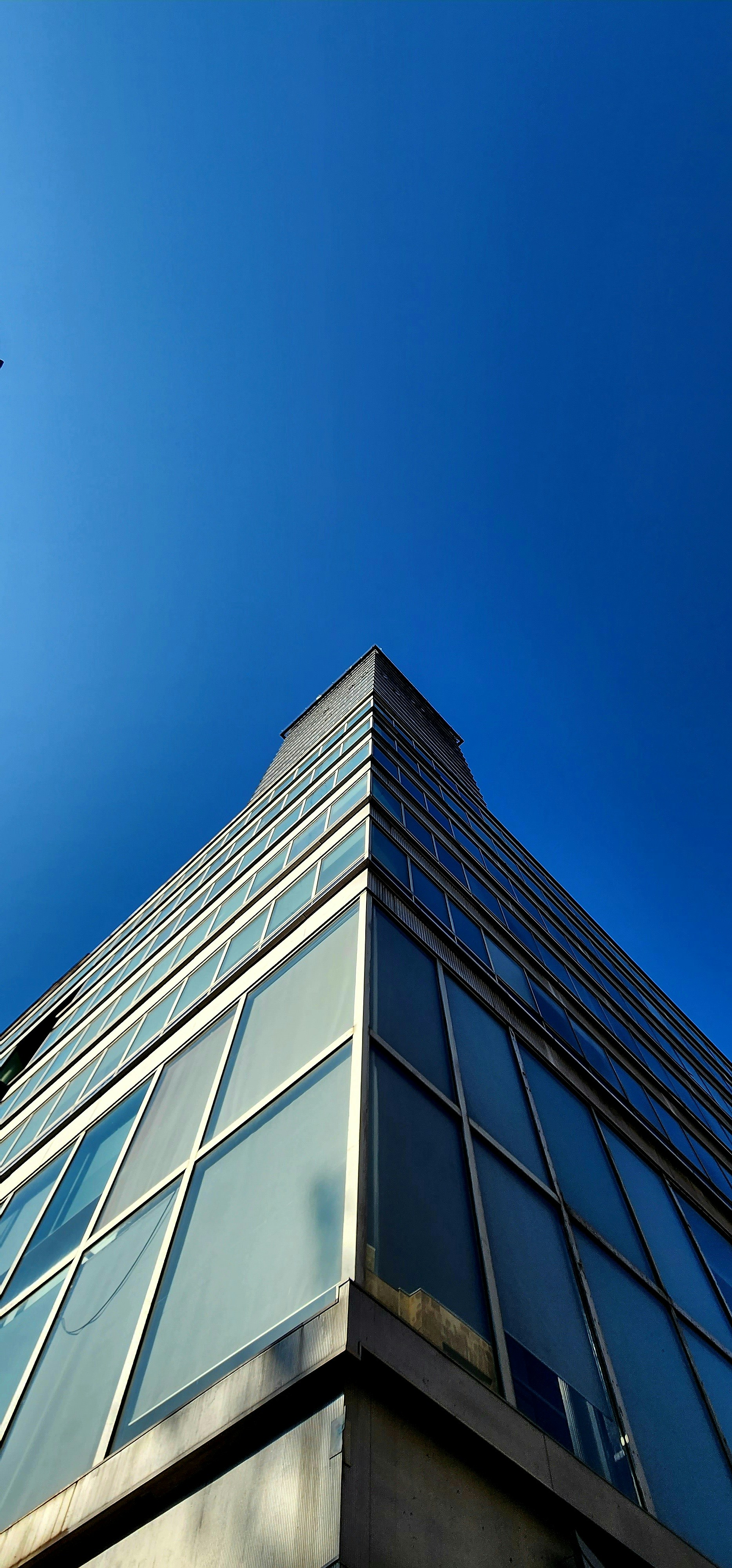 Photo by brianvargas