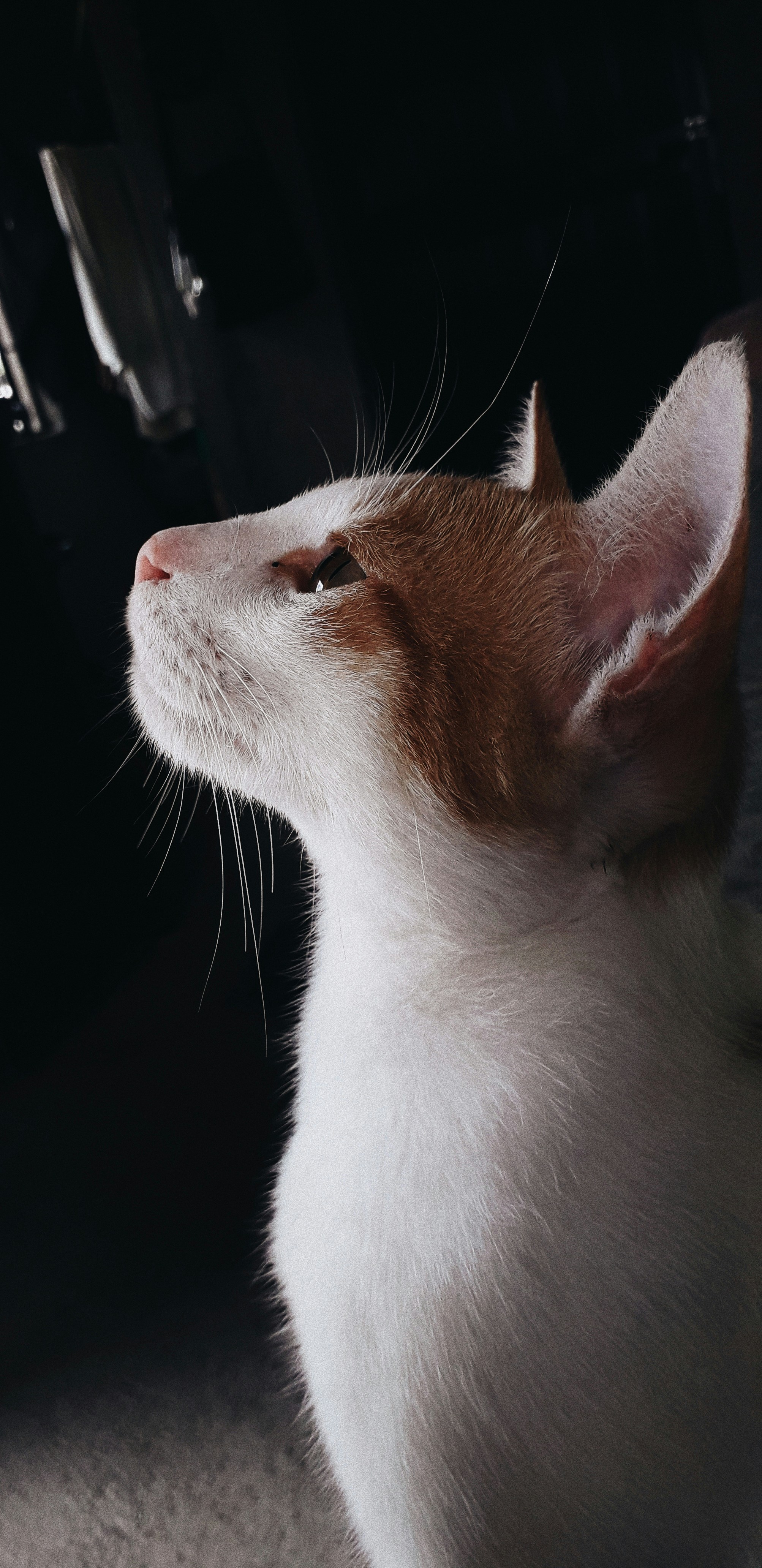 Photo by sheridagrajo