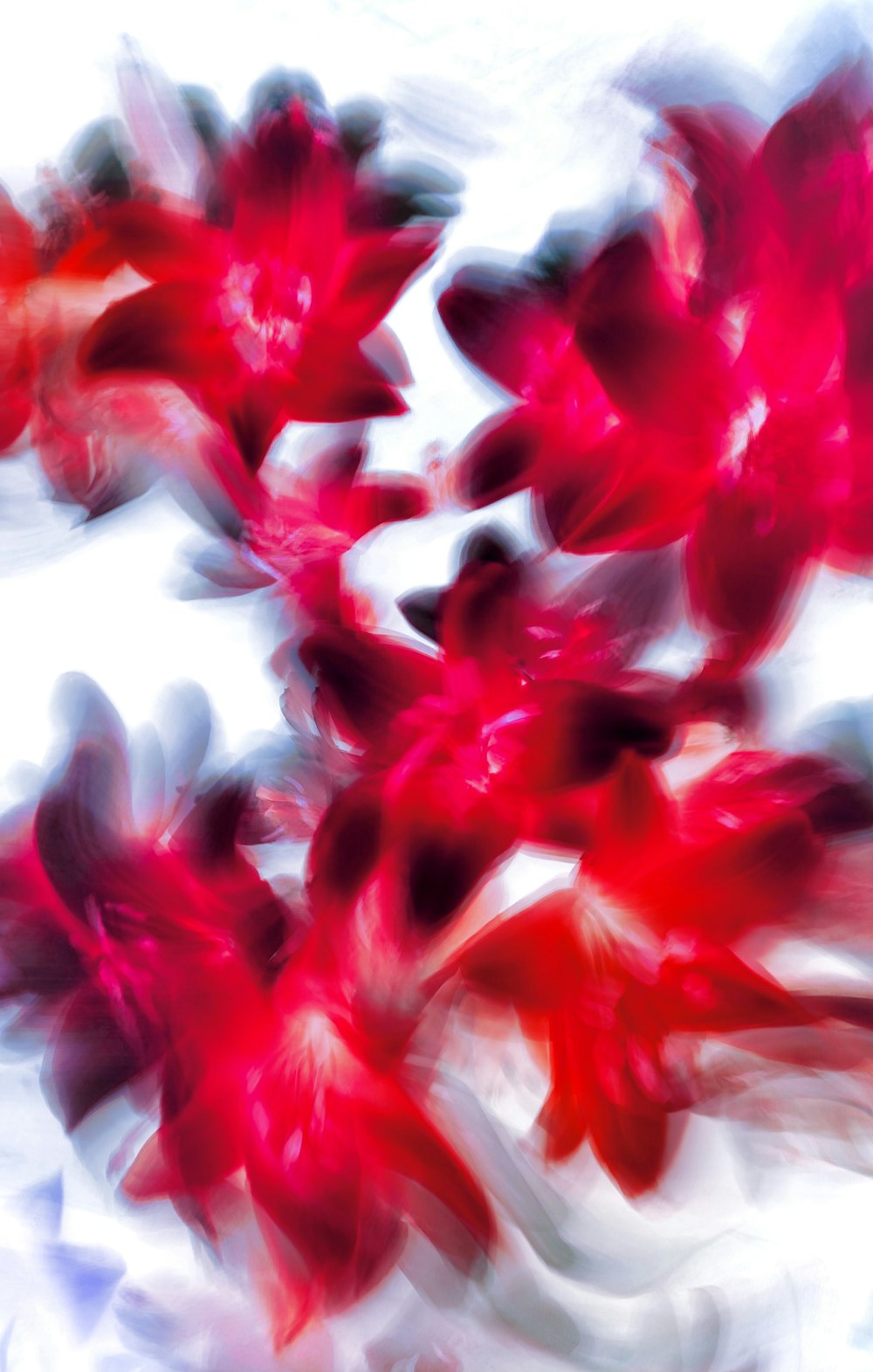 a blurry photo of red flowers in a vase