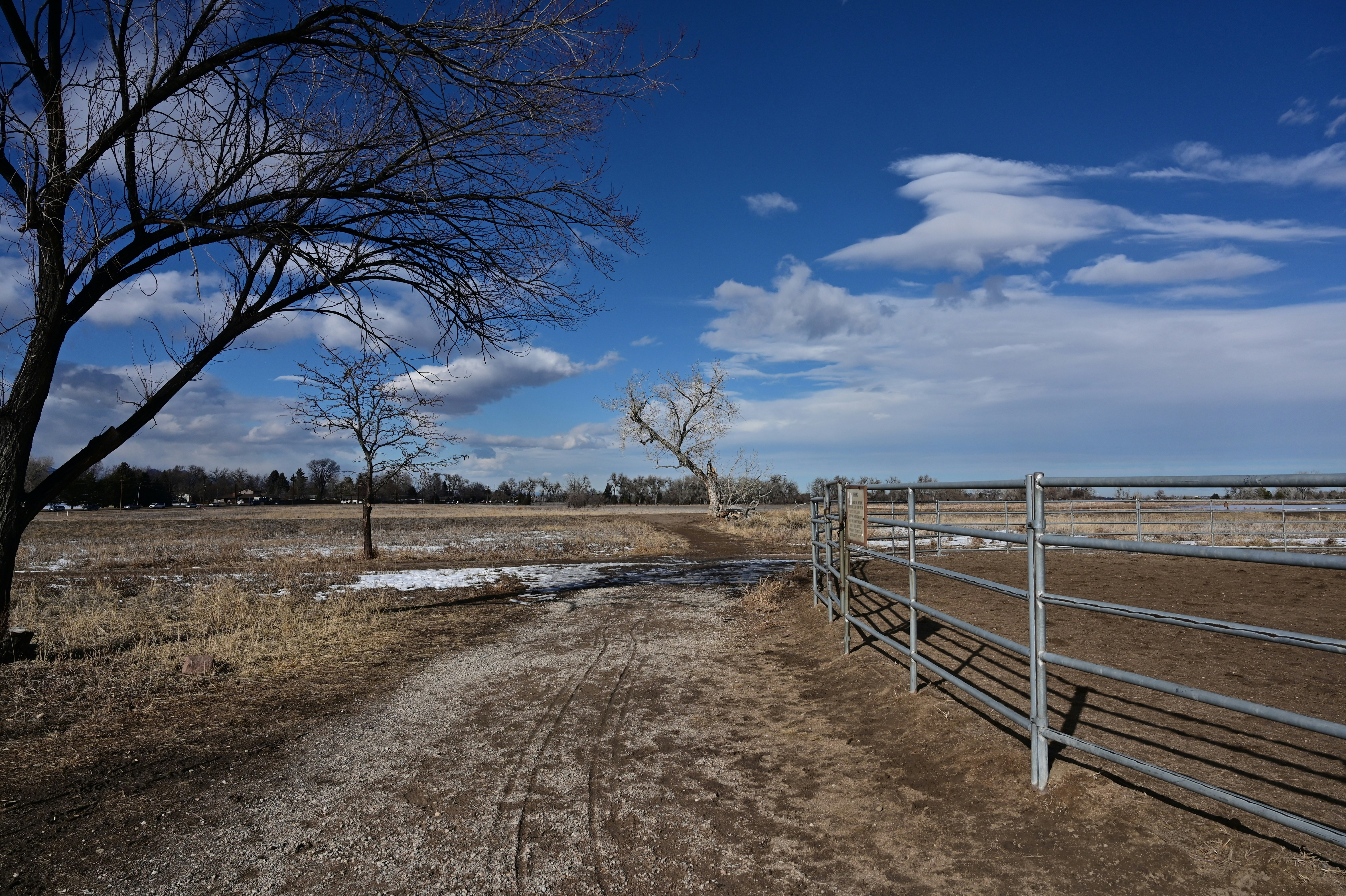 A dirt road with a fence and a tree photo – Free Winter Image on Unsplash