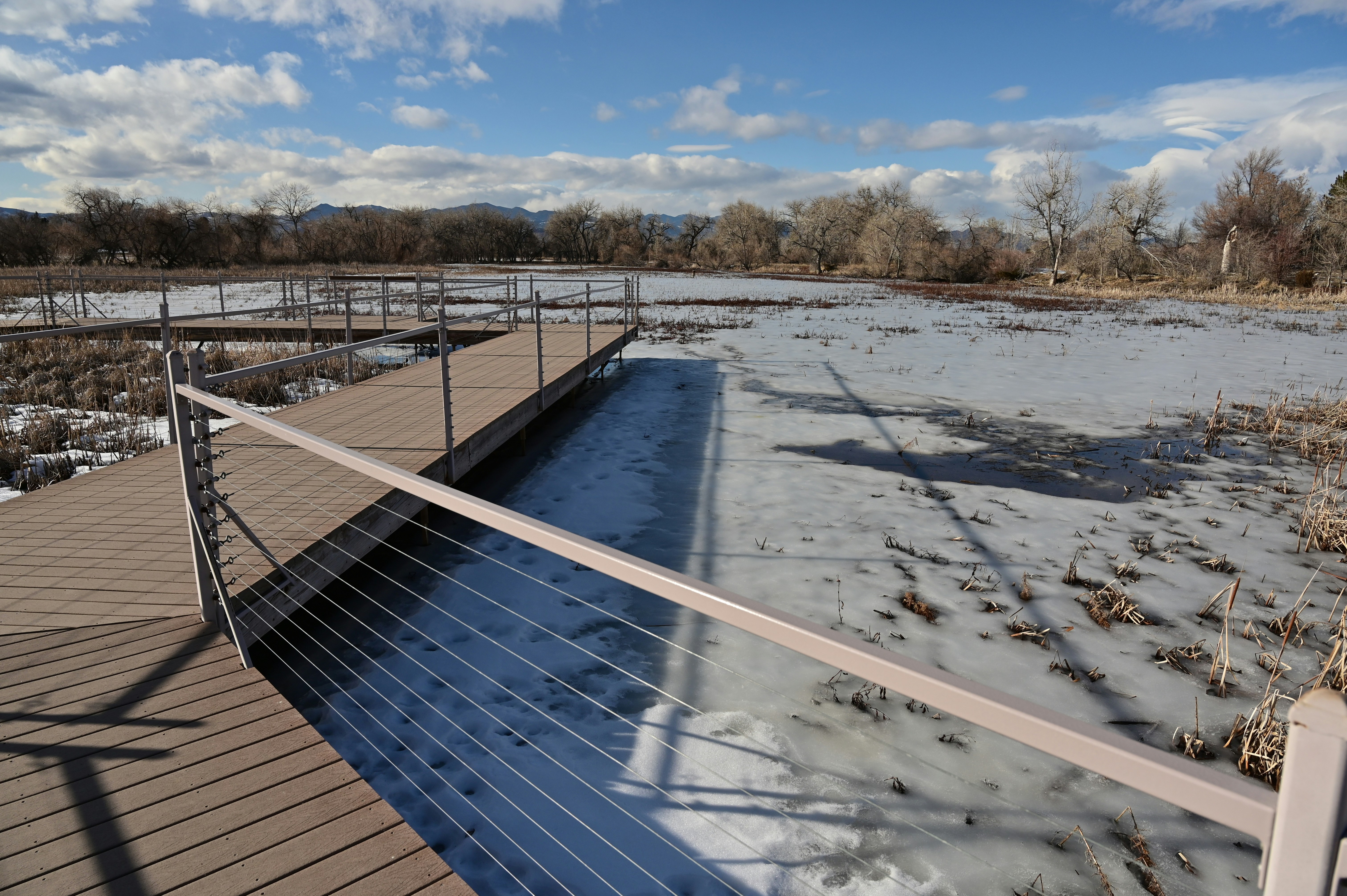 Illegal Pete's Gold's