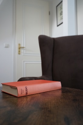 A closed orange book titled 'BUDO' is resting on a wooden table in a room with a brown upholstered chair. The background features a white door with a gold handle and a framed picture on the wall.