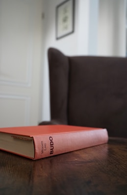 A book with a reddish-orange cover and the title 'Budo' is placed on a wooden table. In the background, an upholstered armchair in a muted brown tone is partially visible, along with part of a white wall and a framed picture hanging above.