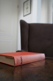 A book with a reddish-orange cover and the title 'Budo' is placed on a wooden table. In the background, an upholstered armchair in a muted brown tone is partially visible, along with part of a white wall and a framed picture hanging above.
