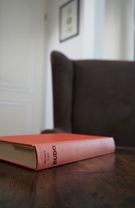 A book with a reddish-orange cover and the title 'Budo' is placed on a wooden table. In the background, an upholstered armchair in a muted brown tone is partially visible, along with part of a white wall and a framed picture hanging above.