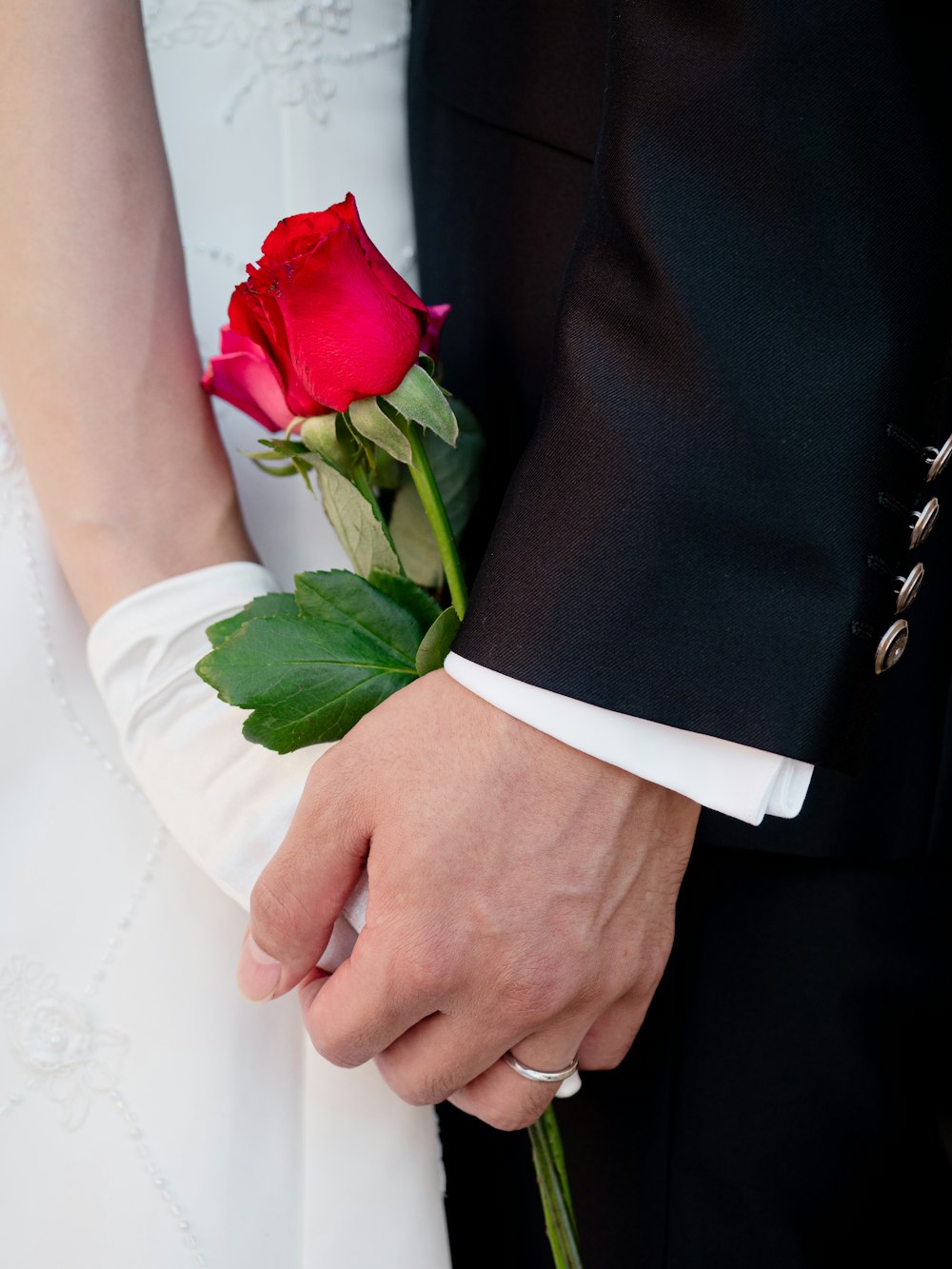 a close up of a person holding a rose
