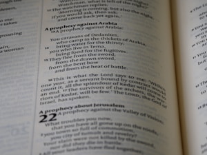 A close-up view of text from an open book, focusing on verses and prophecies from a religious script. The page numbers and chapters are visible, with some parts of the text emphasized in bold.