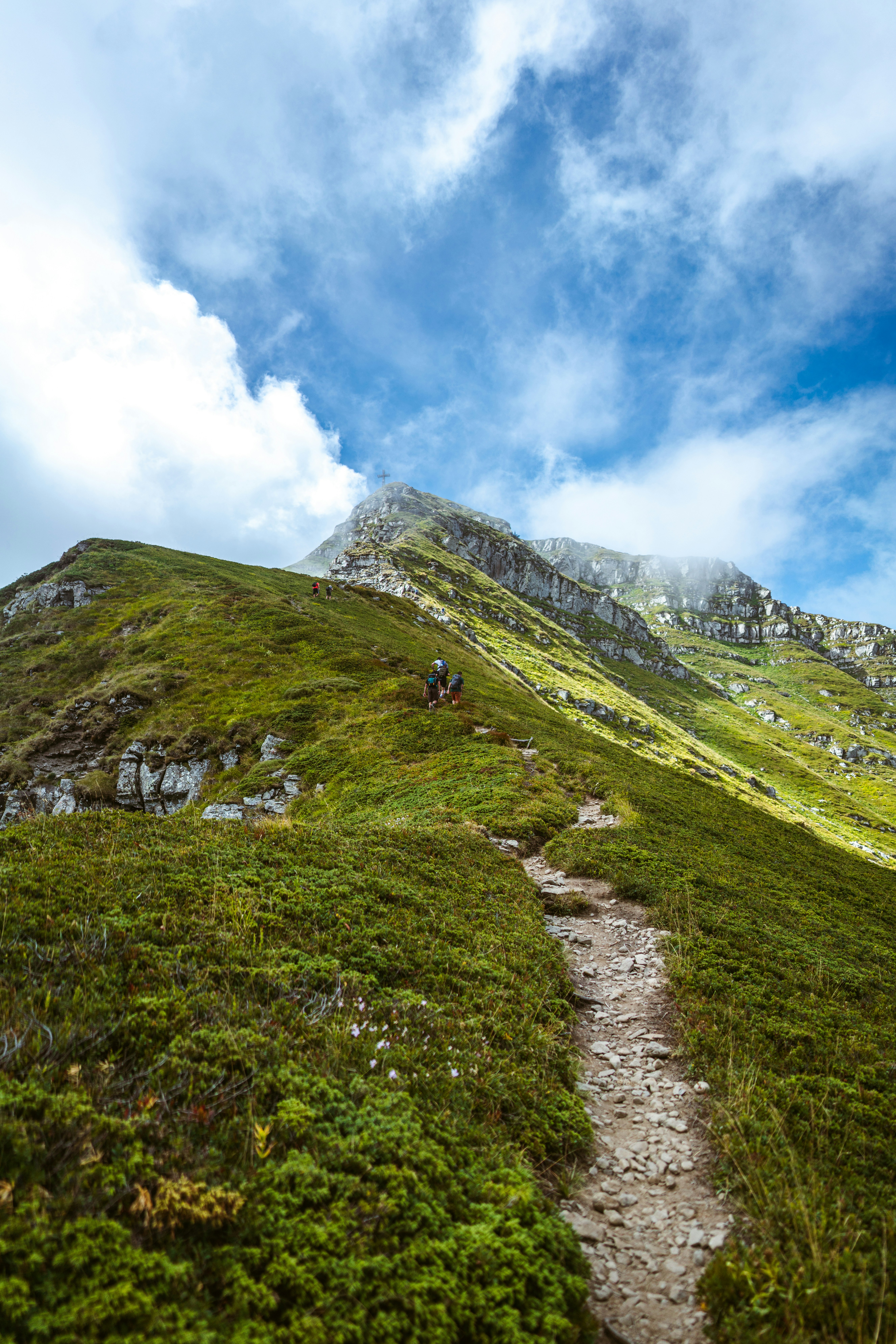 Photo by brunovdkraan