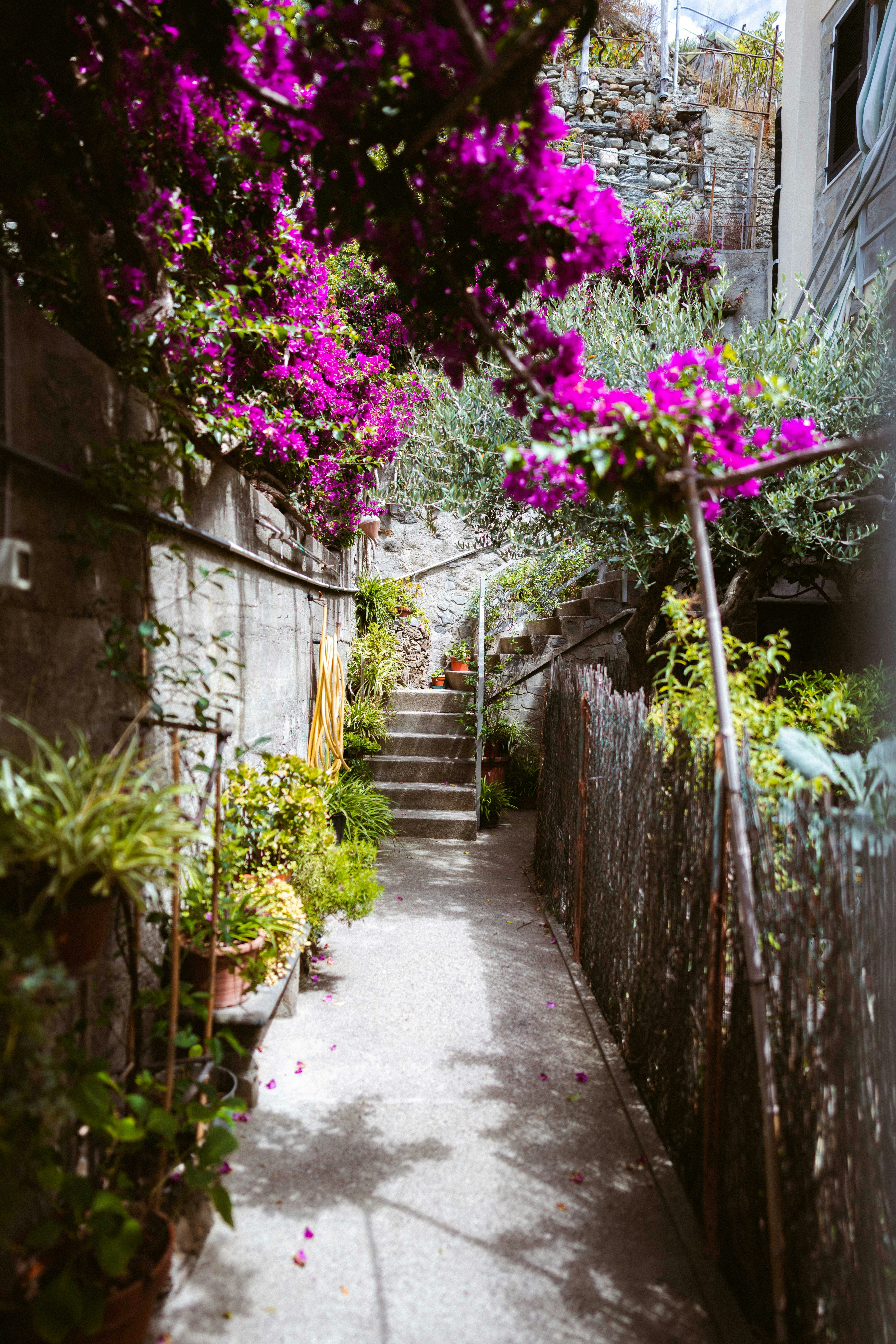 Photo by brunovdkraan