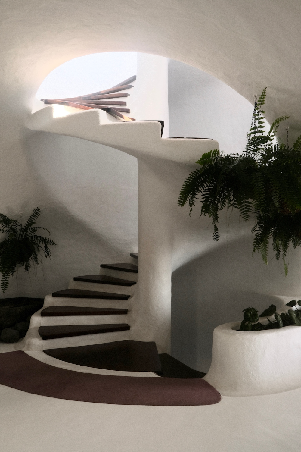 a staircase in a house with a plant in the corner