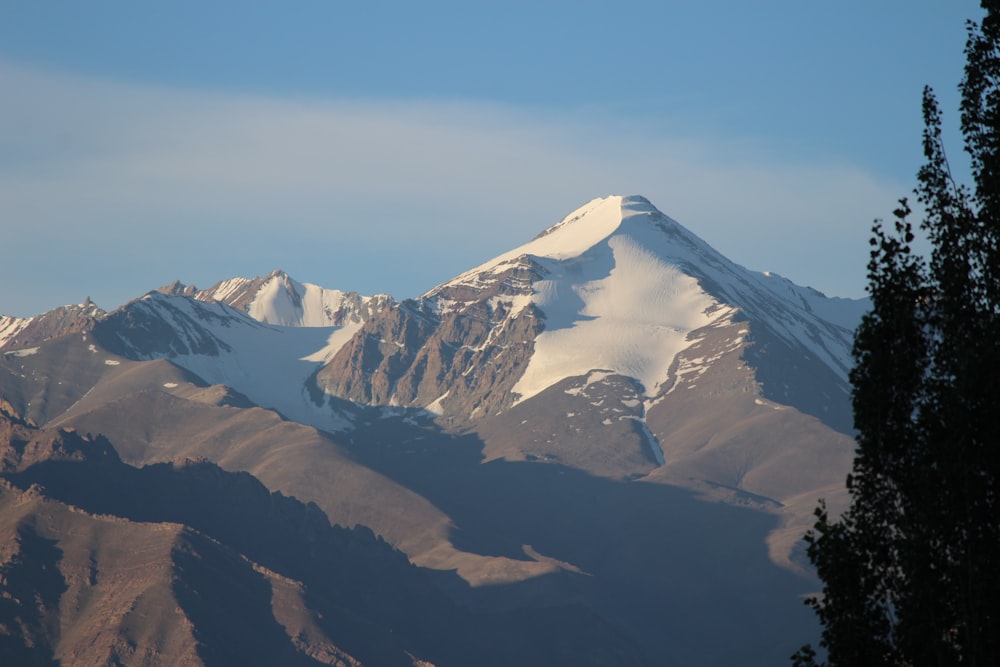 a snow covered mountain with trees in the foreground