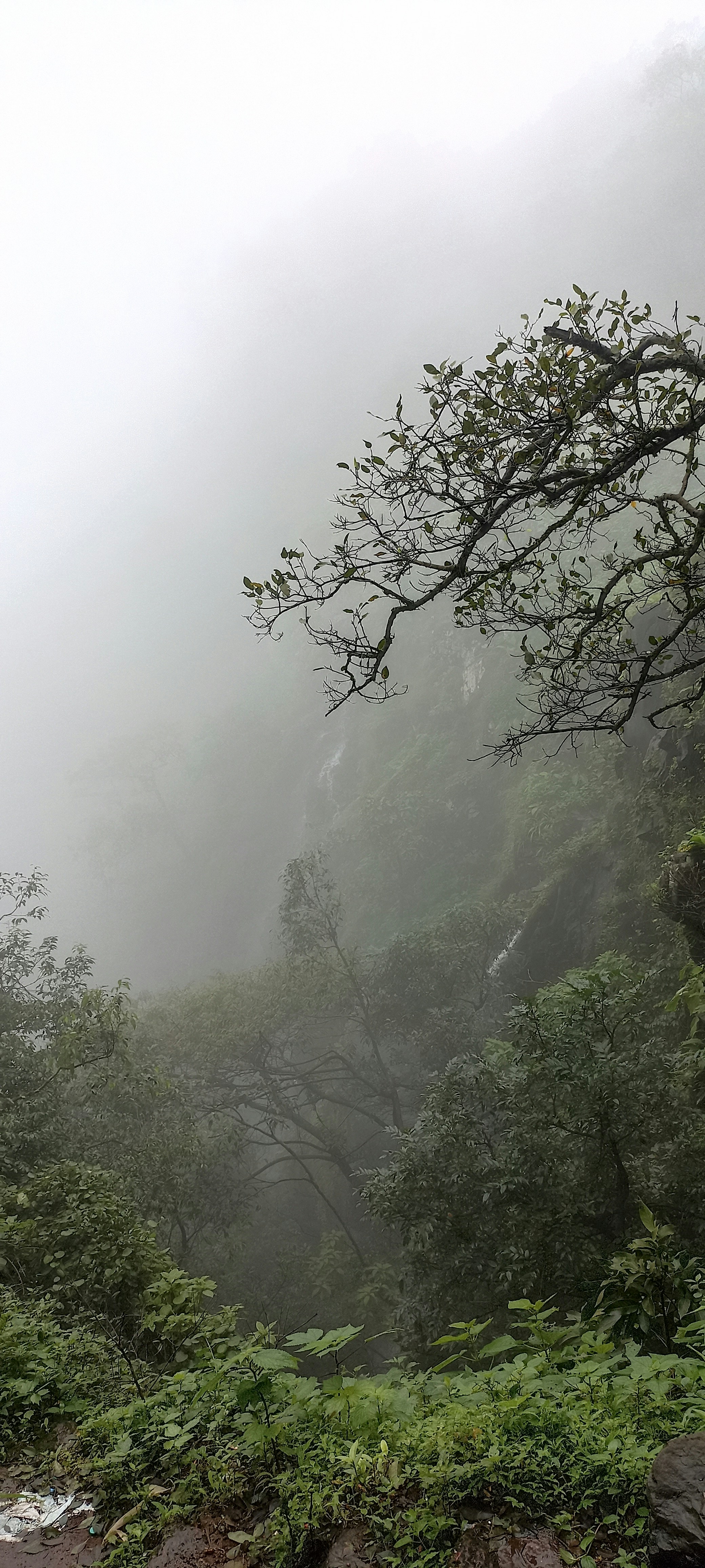 Photo by princevadoliya257