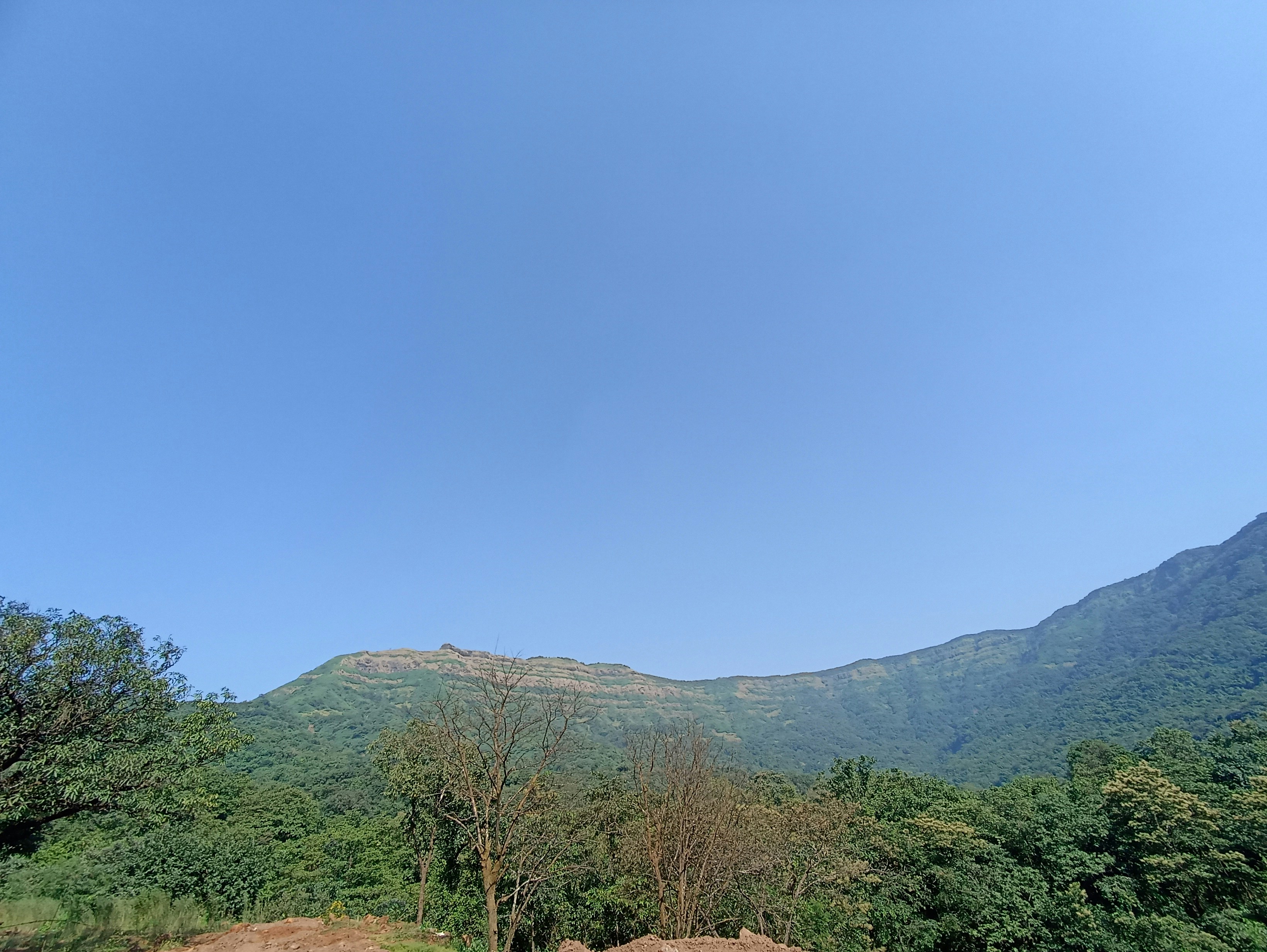 a view of a mountain range with trees in the foreground