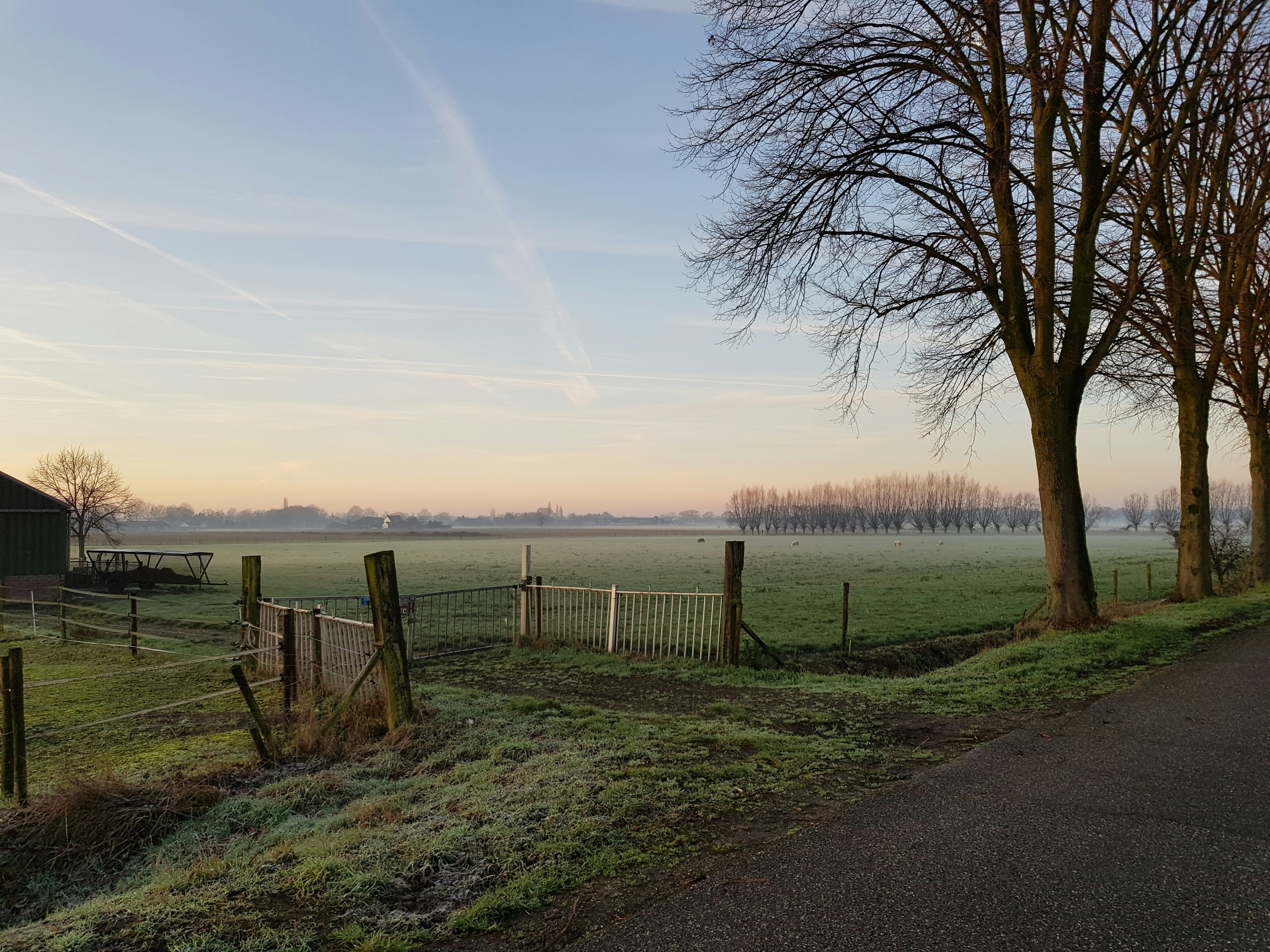 Photo by perfectpoem