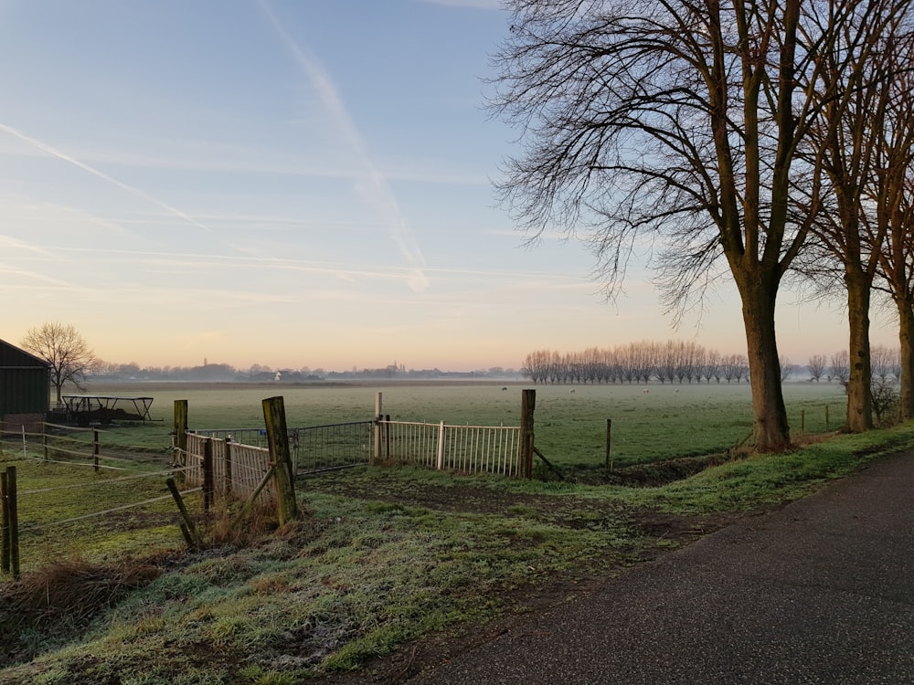 a dirt road next to a field with trees