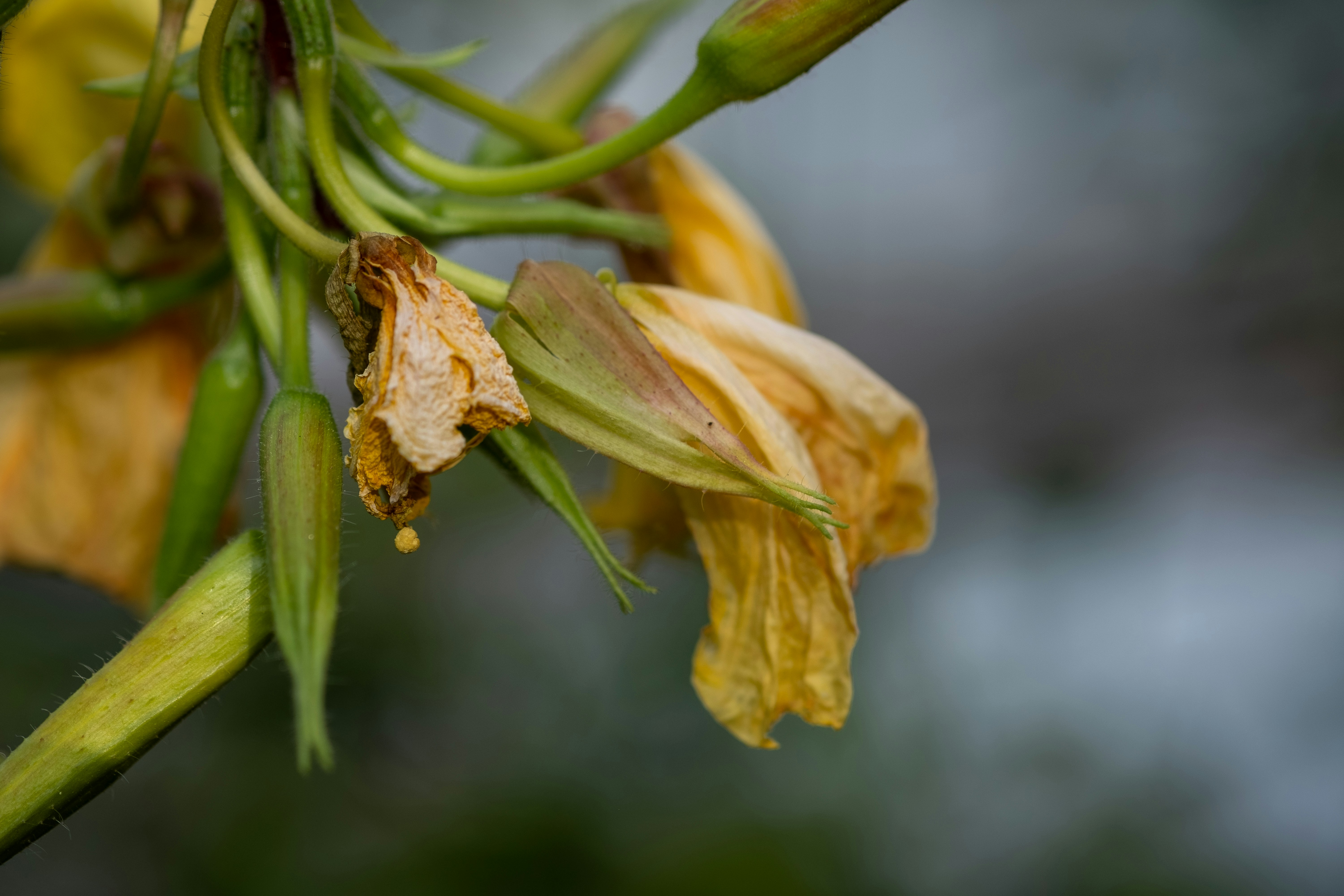 Photo by frau_tantan