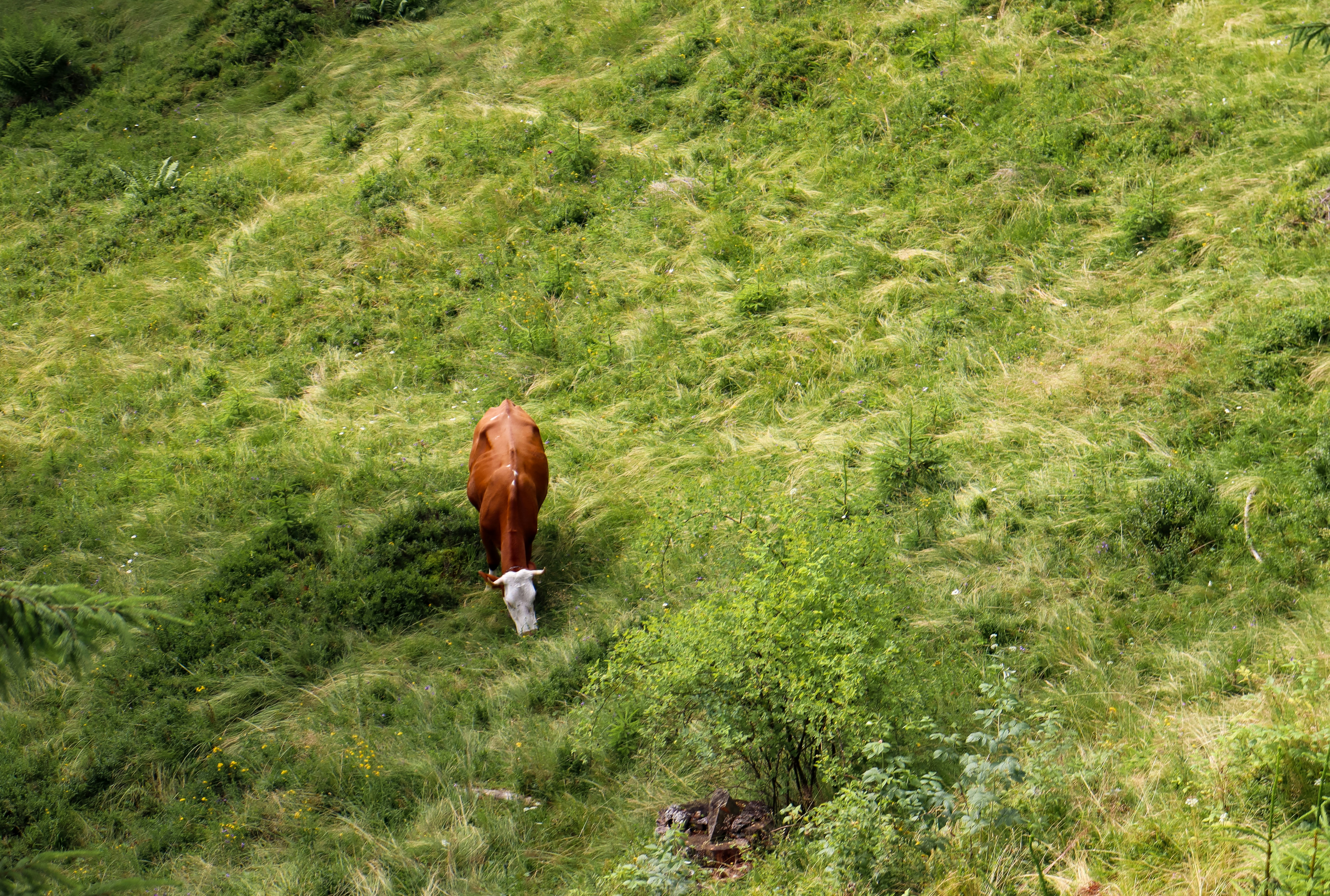 Photo by fermoar