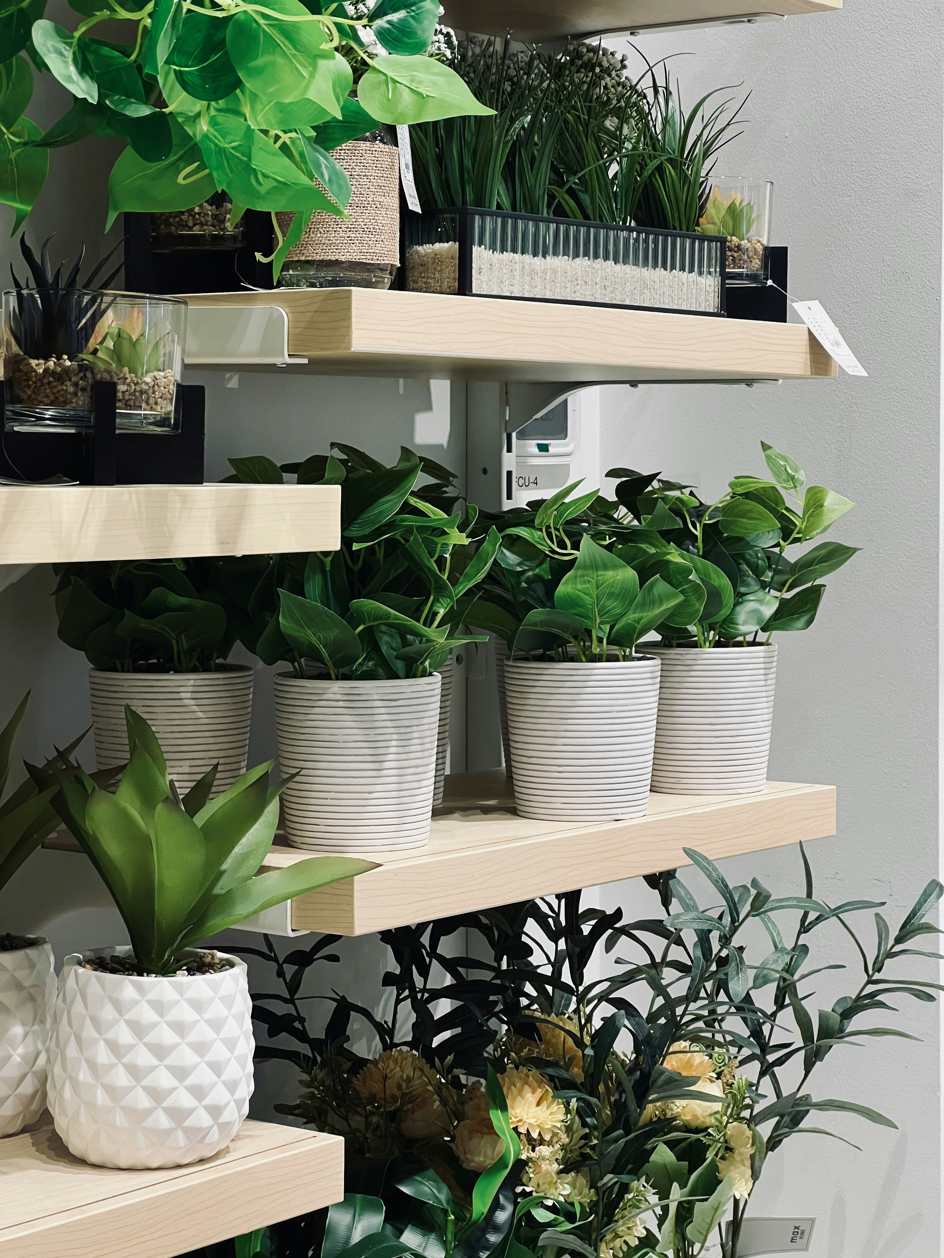 Photo by salman_sidheek