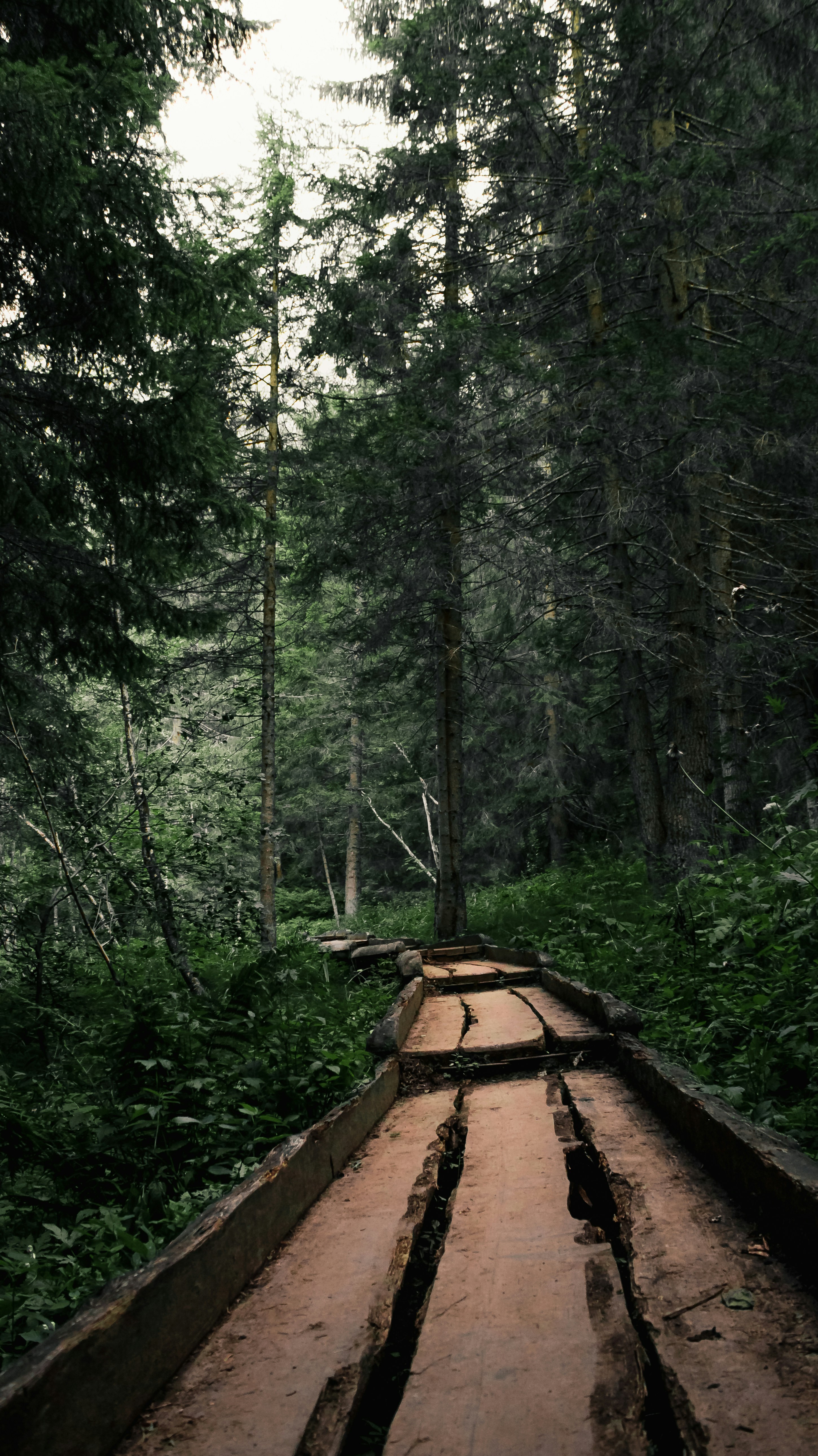 Life & Business Coaching