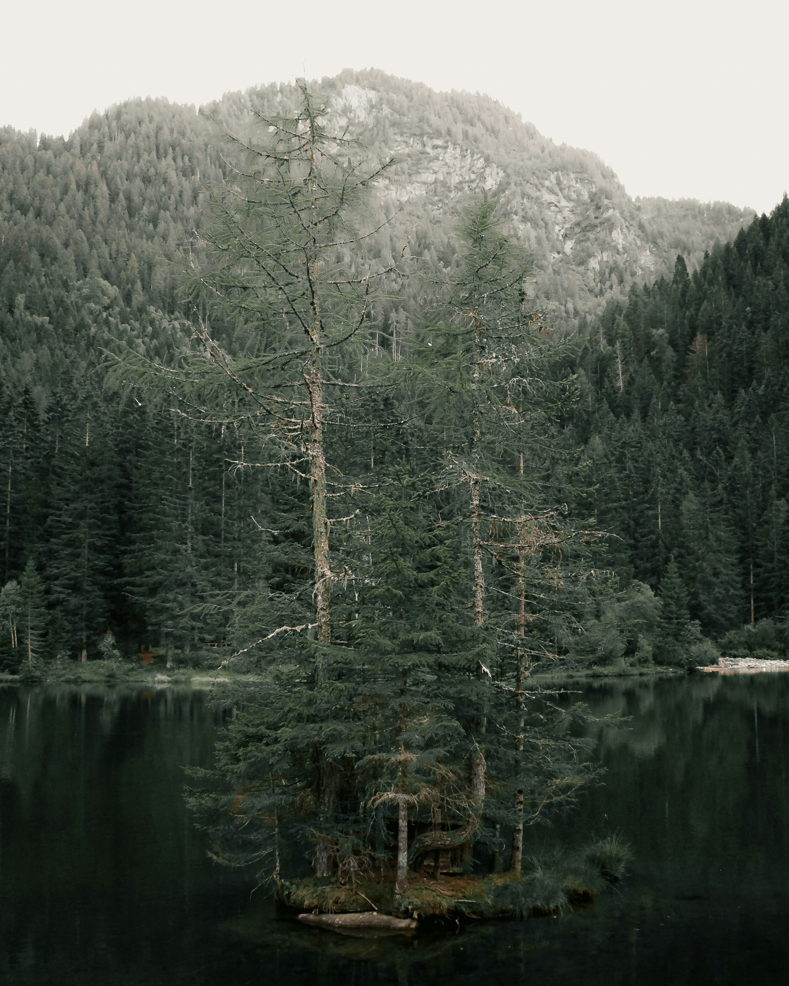 Photo by photosbyedoardo