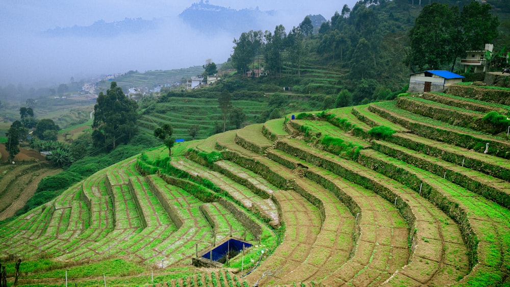 a view of a green field with a house on top of it